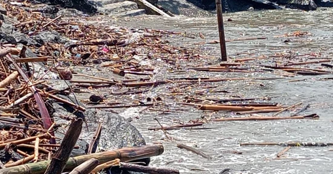 Pesisir Pantai Timur Pangandaran dipenuhi sampah kayu dan ranting kiriman dari sungai