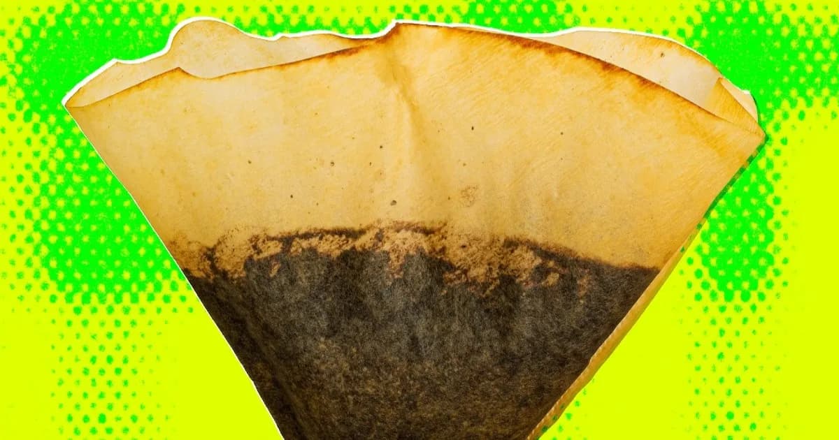 Ilustrasi warna-warni filter kopi bekas penuh ampas kopi yang akan diubah menjadi biochar