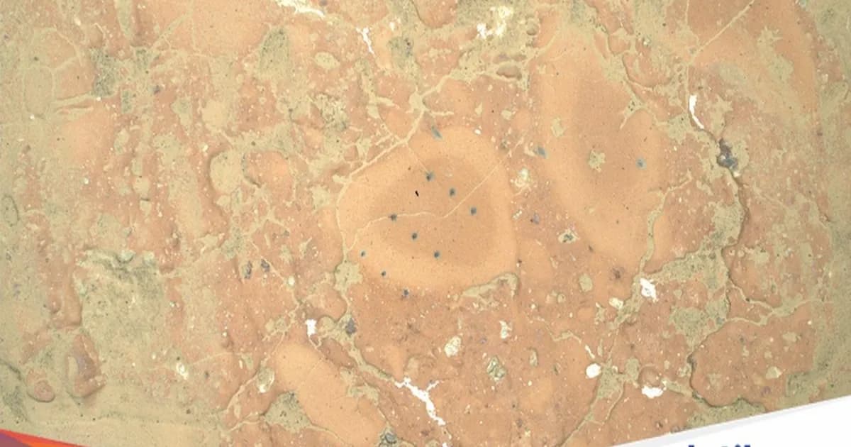 Ilustrasi permukaan Planet Mars dengan kawah dan bebatuan, foto dari NASA