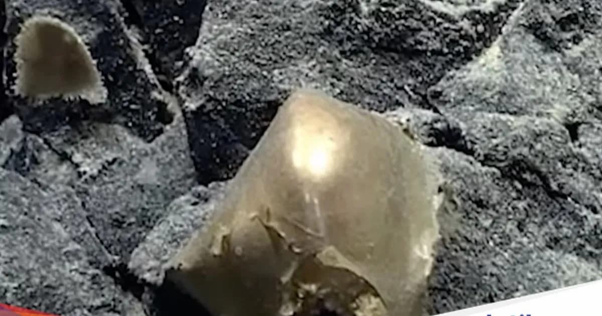 Bola emas misterius ditemukan di dasar laut Alaska oleh ROV Deep Discoverer