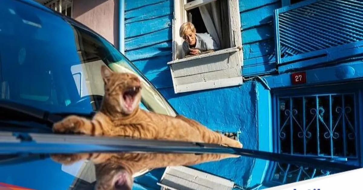 Foto pemenang The Edge Street Photography Awards 2026 yang mengabadikan momen sepersekian detik di jalanan Istanbul