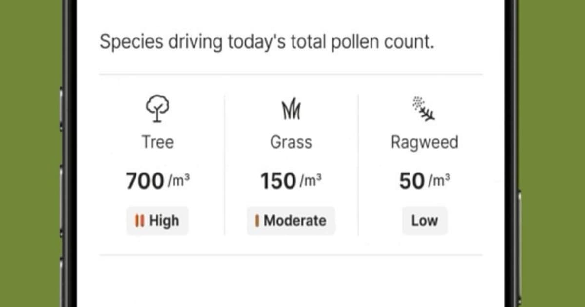 Tampilan antarmuka The Weather Channel app dengan fitur prediksi alergi hiperlokal